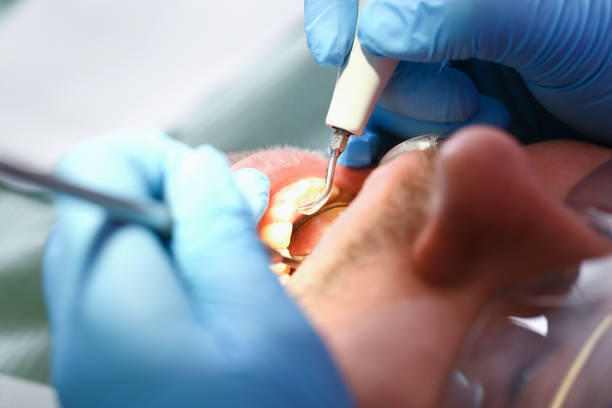 Best Weekend Emergency Dentist in West Leechburg, PA