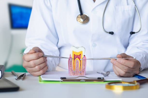 Best Emergency Dental Care for Broken or Chipped Teeth in West Leechburg, PA